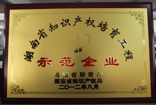 湖南省知識產權培育工程師范企業(yè)2012.8