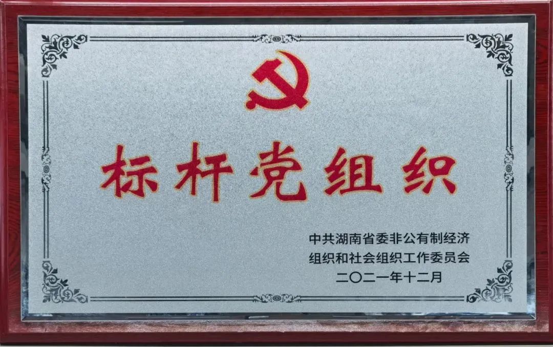 黨建品牌亮起來！山河智能黨委獲評“標桿黨組織”