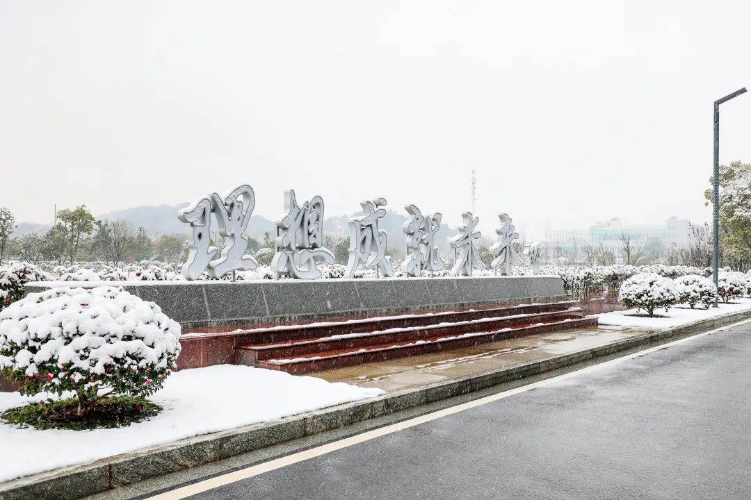 瑞雪兆豐年，邀您共賞雪中山河！